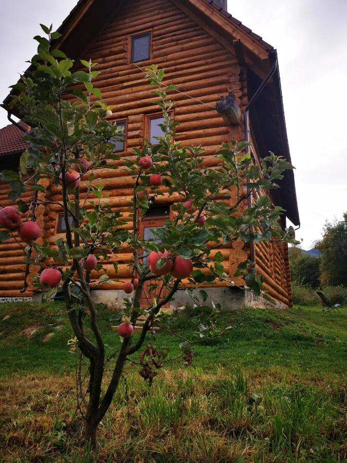 Valea Vistisoarei Villa Vistisoara Exterior photo