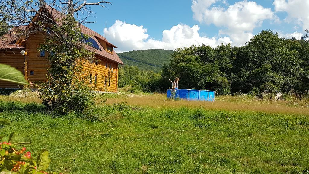 Valea Vistisoarei Villa Vistisoara Exterior photo