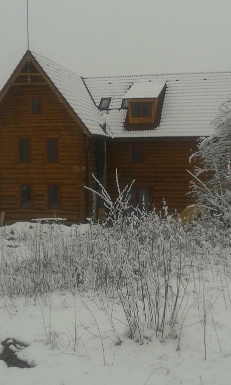 Valea Vistisoarei Villa Vistisoara Exterior photo