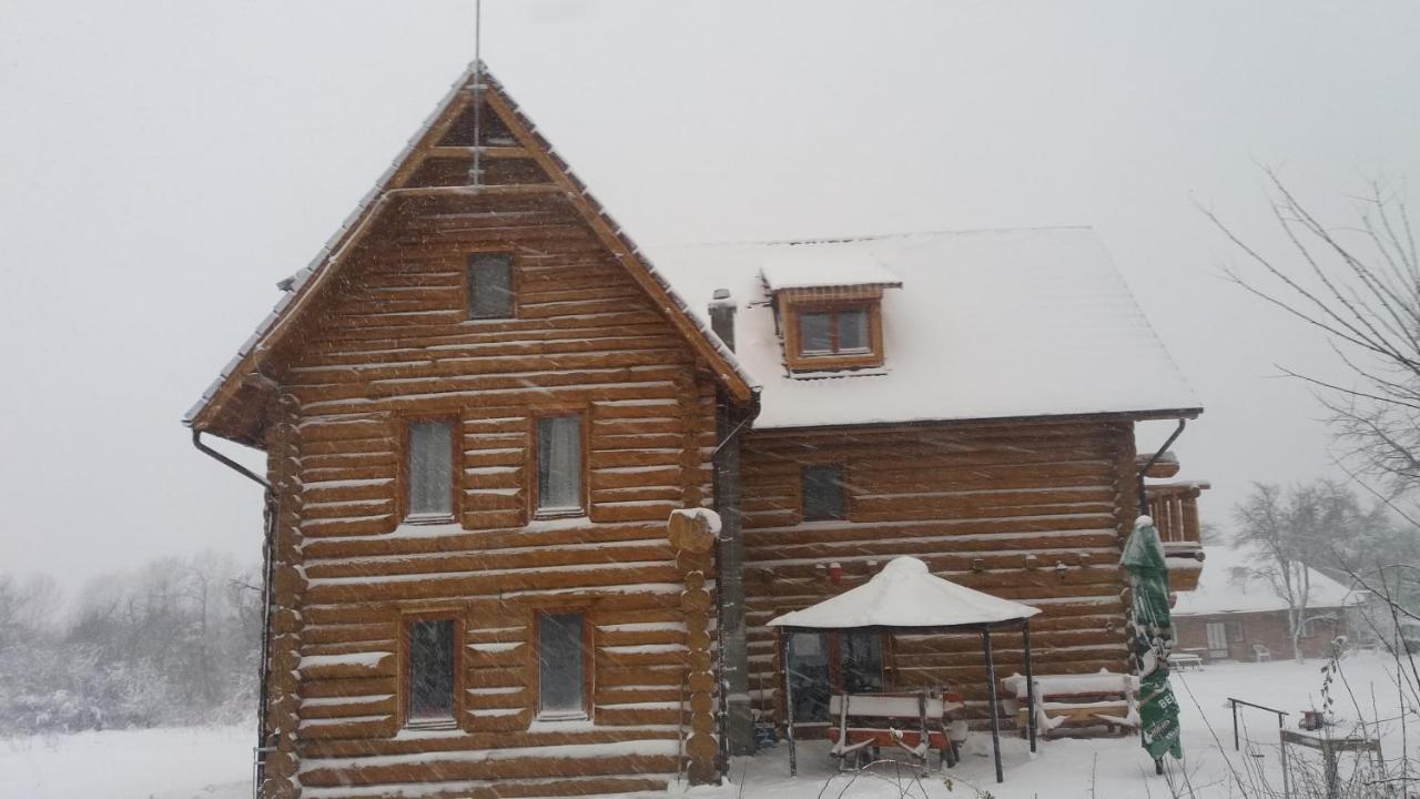Valea Vistisoarei Villa Vistisoara Exterior photo